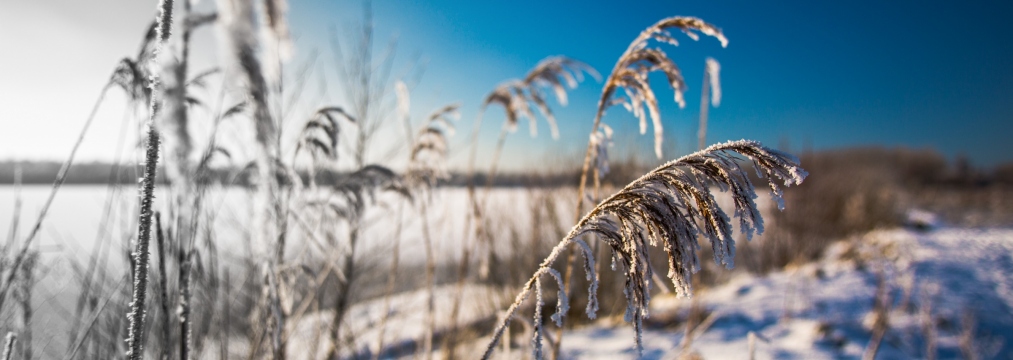 Vinter.storprint.